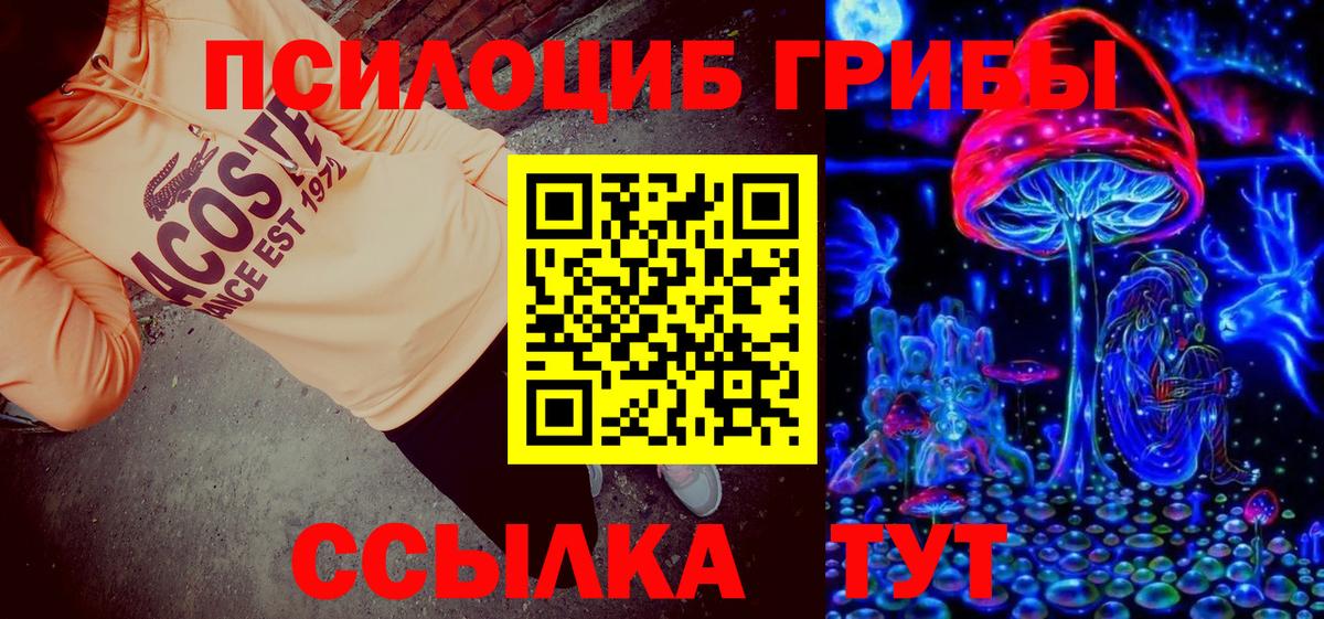 Галлюциногенные грибы прущие грибы Будённовск