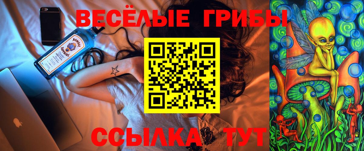 Будённовск  Псилоцибиновые грибы мицелий  Вход с VPN 